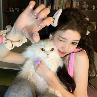 理科状元考科举强到朕傻眼